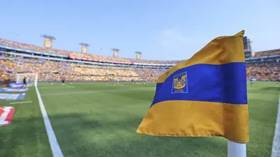 1b282a7b-f402-45f4-a782-a22c9151c292 Reprograman Tigres vs Puebla por partido de la Selección Mexicana ante Colombia